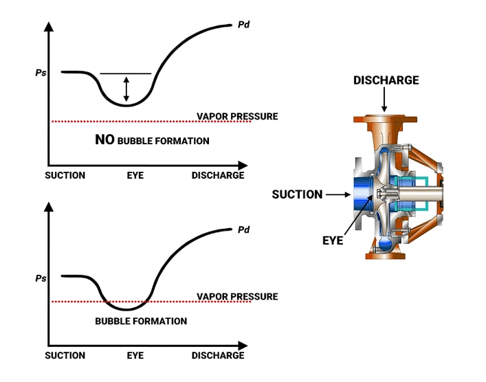 NPSH Required for Progressive Cavity Pump